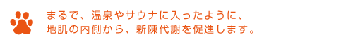 犬 シャンプー おすすめ