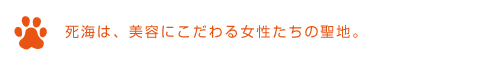 犬 シャンプー おすすめ