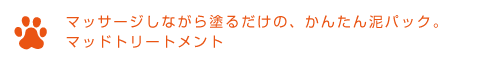 犬 シャンプー おすすめ
