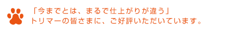 犬 シャンプー