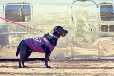 画像2: 【 California Vintage 】犬服 タンクトップ　Malibu 