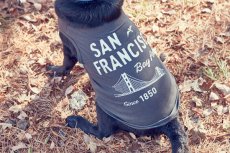 画像11: 【 California Vintage 】犬服 タンクトップ San Francisco  (11)