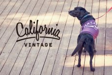 画像1: 【 California Vintage 】犬服 タンクトップ　Malibu  (1)