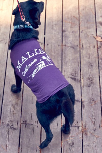 画像3: 【 California Vintage 】犬服 タンクトップ　Malibu 