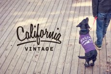 画像9: 【 California Vintage 】犬服 タンクトップ　Malibu  (9)