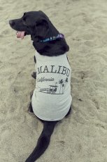 画像5: 【 California Vintage 】犬服 タンクトップ　Malibu  (5)