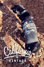 画像2: 【 California Vintage 】犬服 タンクトップ San Francisco  (2)