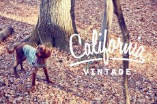 画像6: 【 California Vintage 】犬服 タンクトップ Yosemite (6)