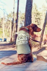 画像12: 【 California Vintage 】犬服 タンクトップ Yosemite (12)