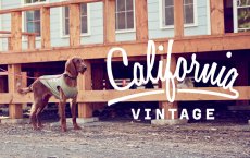 画像13: 【 California Vintage 】犬服 タンクトップ Yosemite (13)