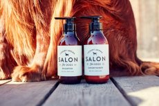 画像5: 【SALON FOR DOGS】 ミネラルシャンプー 300ml (5)