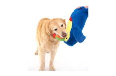 画像7: 【DOGGLES】Blue Toucan (7)