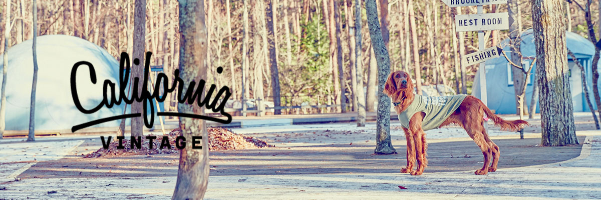 カリフォルニアヴィンテージ　犬服