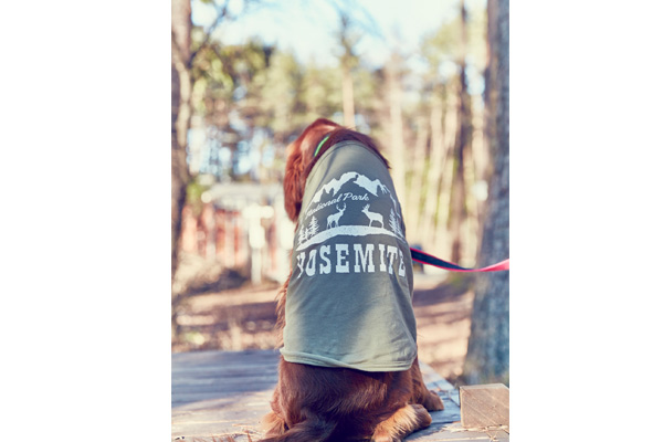 画像9: 【 California Vintage 】犬服 タンクトップ Yosemite (9)