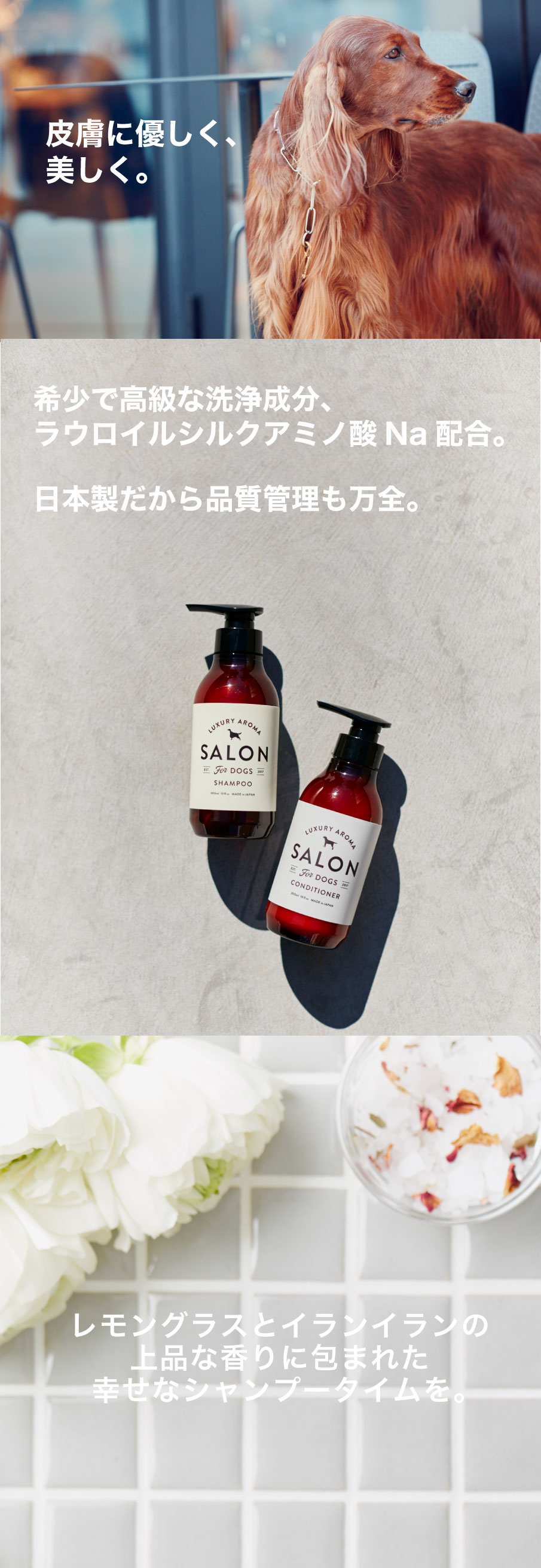 サロン　シャンプー　おすすめ